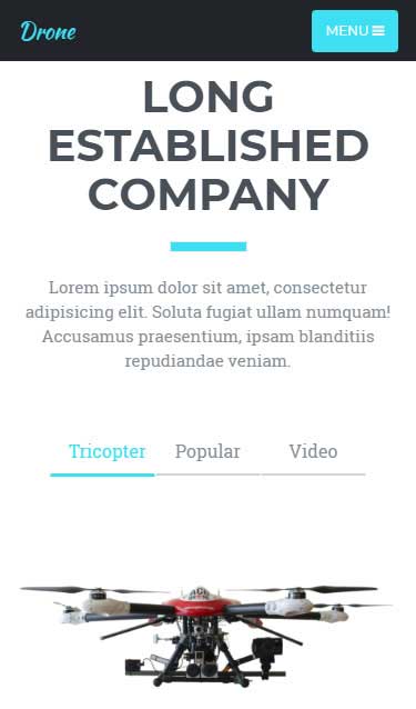 手机版ddos攻击器